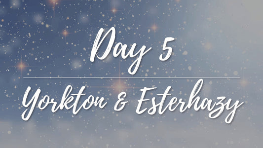 Day 5 | Ten Days of Sharing!